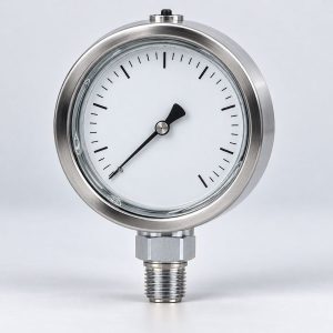 Stainless steel liquid-filled pressure gauge on a light studio sweep